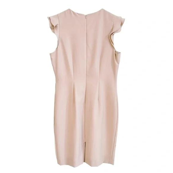 ANTONIO MELANI MOLLY RUFFLES PINK SAND STRAIGHT SHEATH EASTER DRESS SZ 10 NWT - Picture 4 of 5